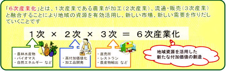 高冷地花きコンサルツ 長野県伊那市 ラン アルストロメリア ヒペリカム他 農家の為の支援サイト